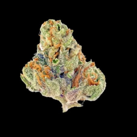 AK-47 Marijuana Strain – Premium