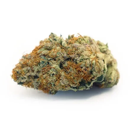 Apple Fritter