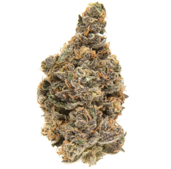 Blueberry Muffin OZ Special