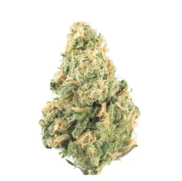 Do-Si-Dos – Premium