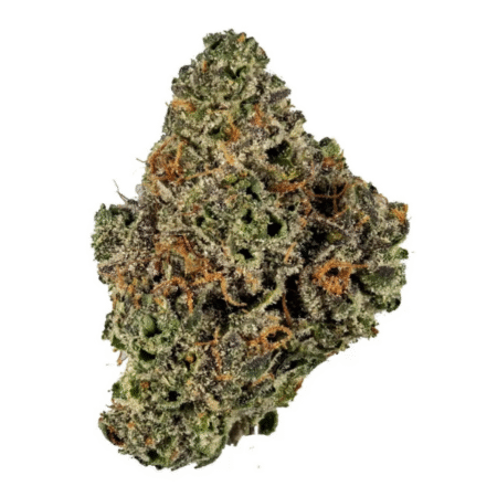 Dolato – Top Shelf