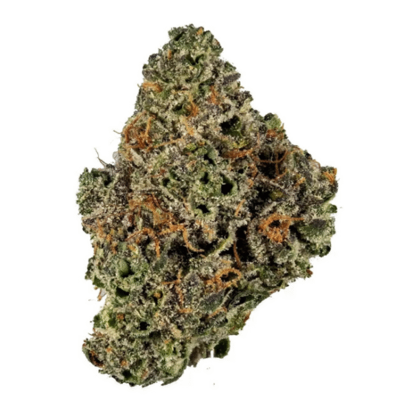 Dolato – Top Shelf