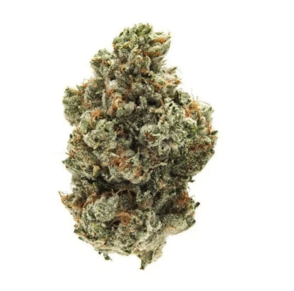 Gorilla Breath – Premium
