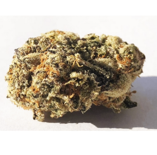 Ice Cream Cake – Exotic
