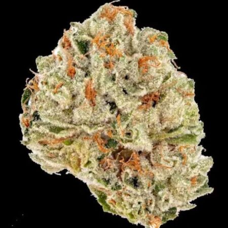 Illuminati OZ Special