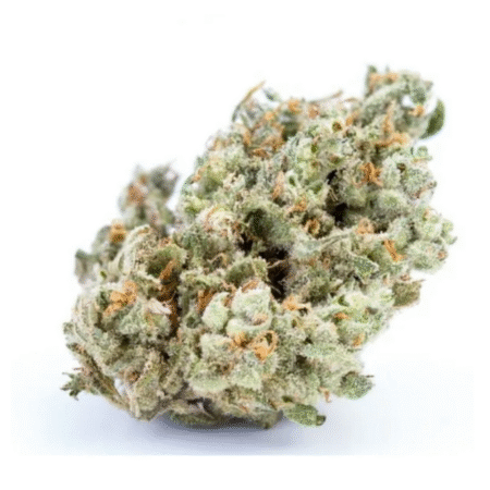 Jack Herer – Premium