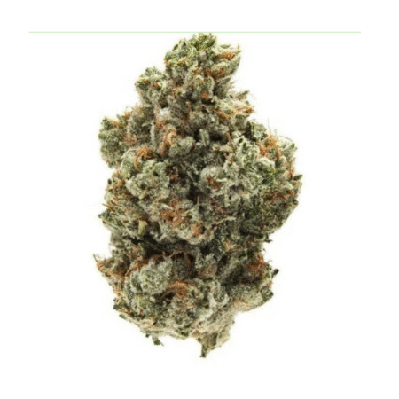 Jet Fuel – Premium