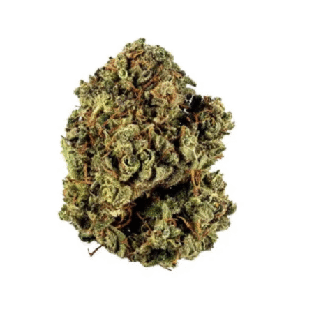 Laughing Buddha – Premium