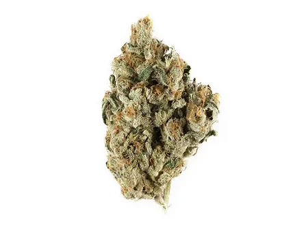 Lemon Ice - Premium Sativa Strain