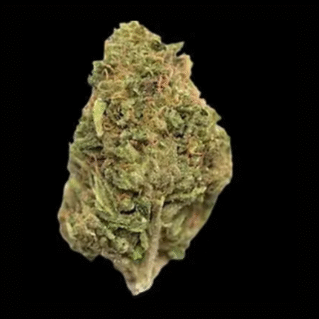 Northern Lights – Top Shelf