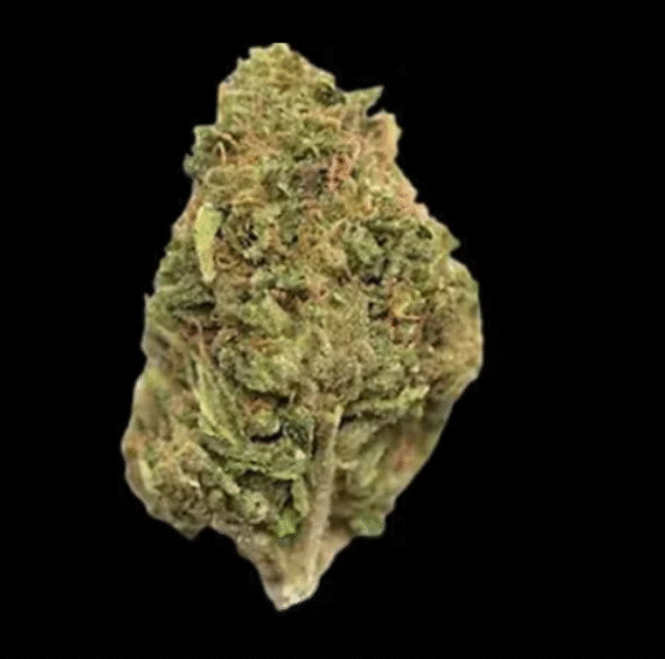 Northern Lights – Top Shelf