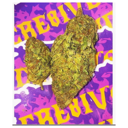 Orange Daiquiri – Premium
