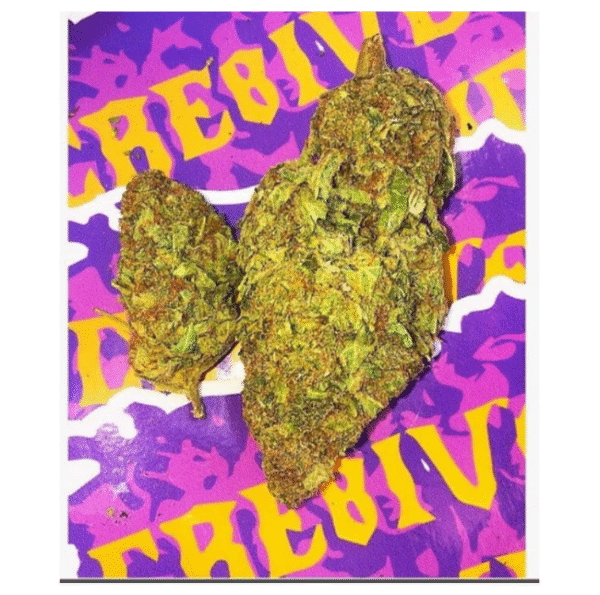 Orange Daiquiri – Premium