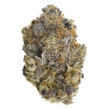 Original Gorilla Glue – Exotic