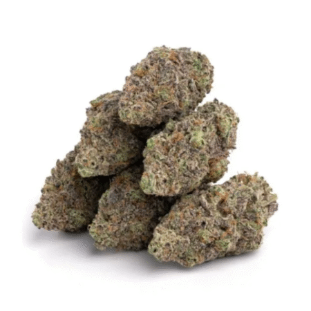 Pink Runts OZ Special