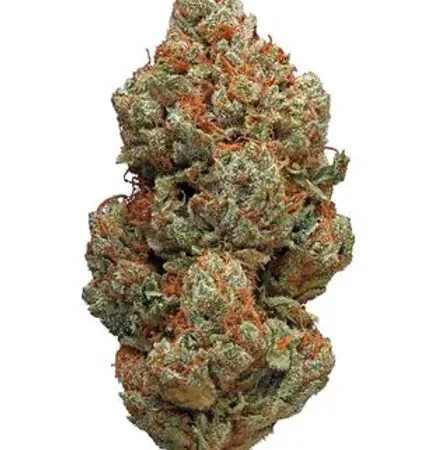 Platinum OG