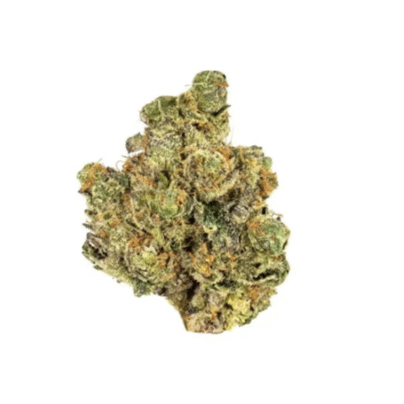 Sherbert – Premium