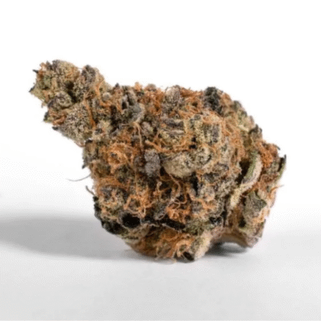 Slurricane OZ Special