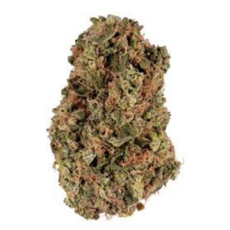 Space Cake OZ Special