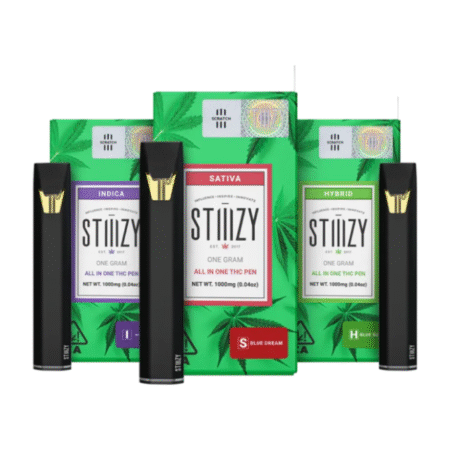 Stiiizy Disposable 1g