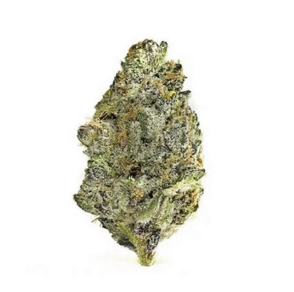 Super Boof – Premium