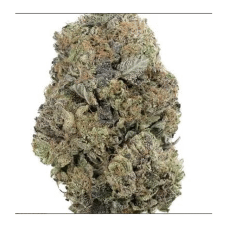 Super Platinum Bubba Kush – Top Shelf