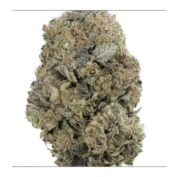 Super Platinum Bubba Kush – Top Shelf