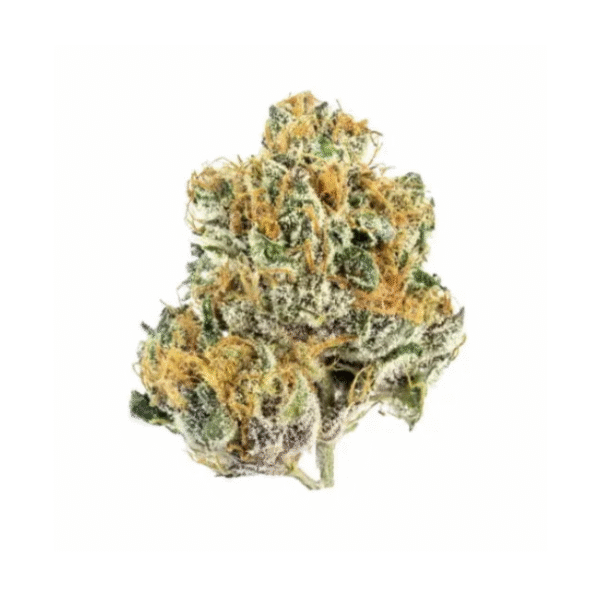 Tropicana – Premium