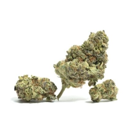 White Cherry Shortcake OZ Special
