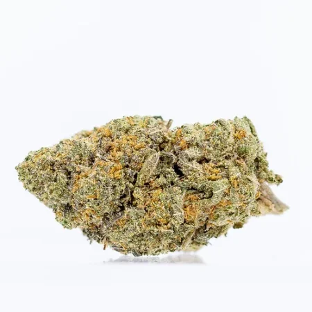 White Tahoe Flower