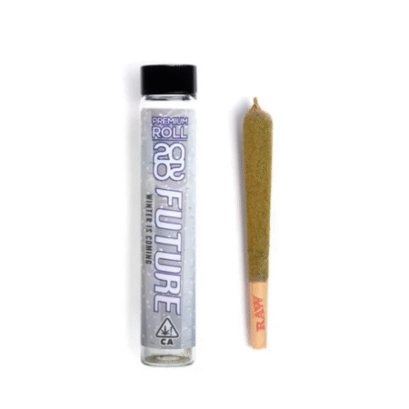 Winter is Coming Pre Roll – 2020 Future