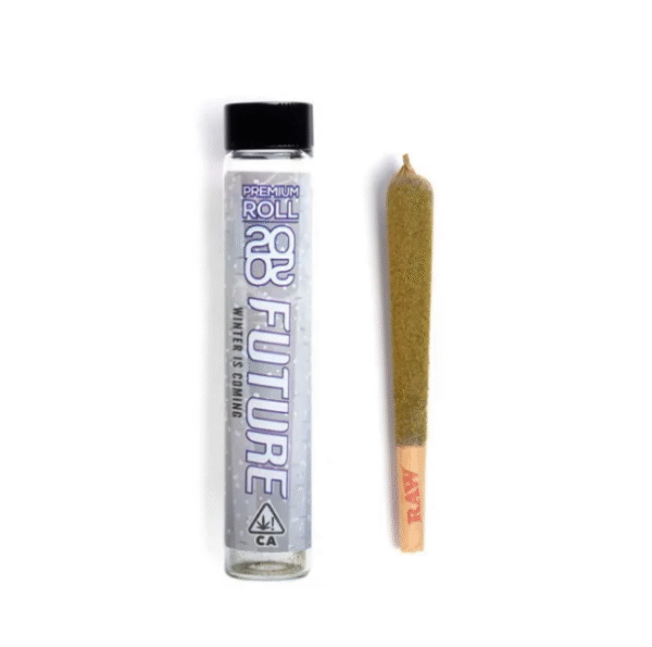 Winter is Coming Pre Roll – 2020 Future