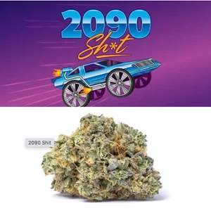 2090 Fire