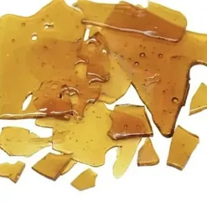 Ice Cream Cake 1 Gram